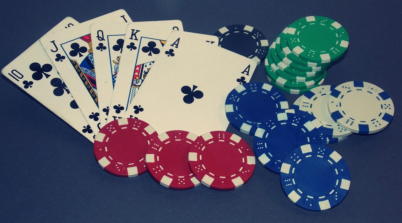 bingopuls