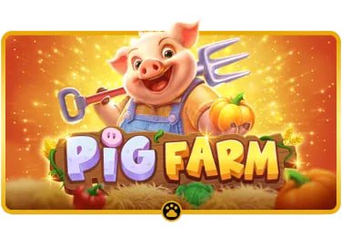 bingopuls